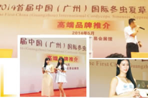 首屆中國(guó)（廣州）國(guó)際冬蟲夏草品鑒會(huì)【高端品牌推介會(huì)】